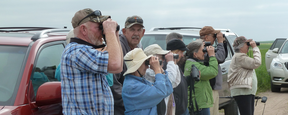 Birding photo by Janis Paseka