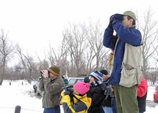 Christmas Bird Counts photo by Janis Paseka