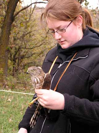 Banding at Hitchcock