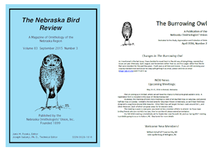 NOU Publications